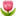 image-20250513223820-1